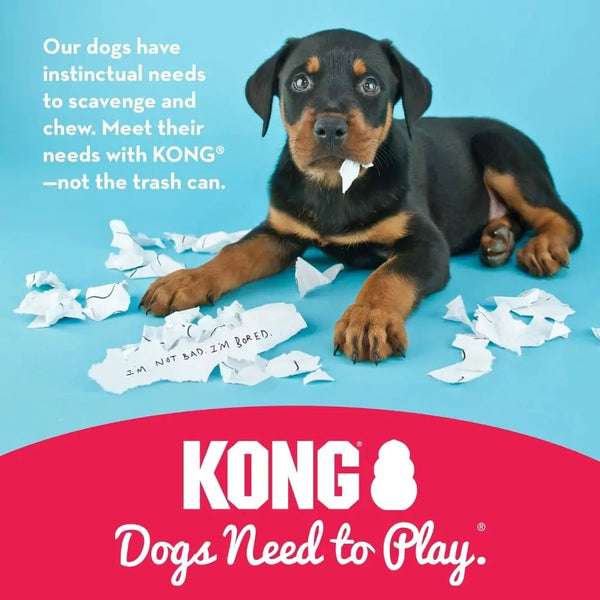 A dark-colored dog is lying down with white paper shreds scattered around it, promoting the KONG brand.