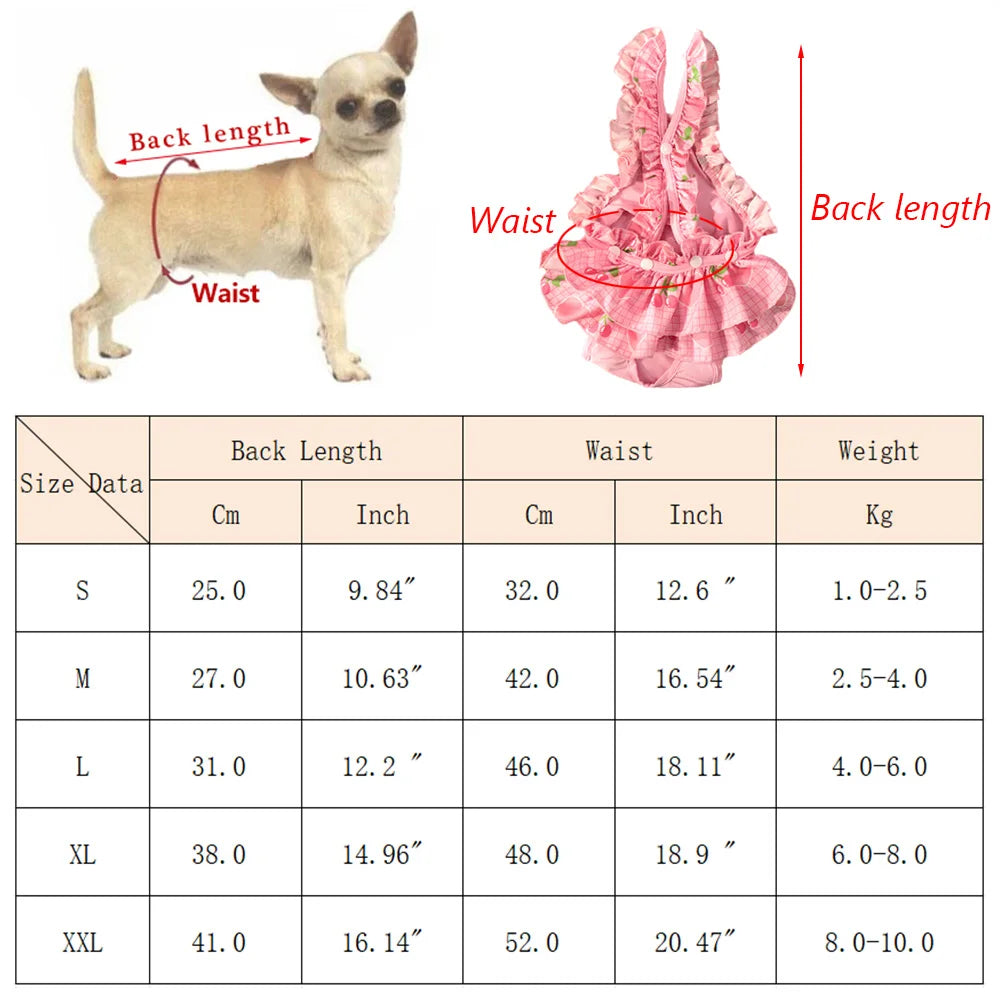 Diagrams showing the back length and waist measurements for various sizes of dog diaper pants.