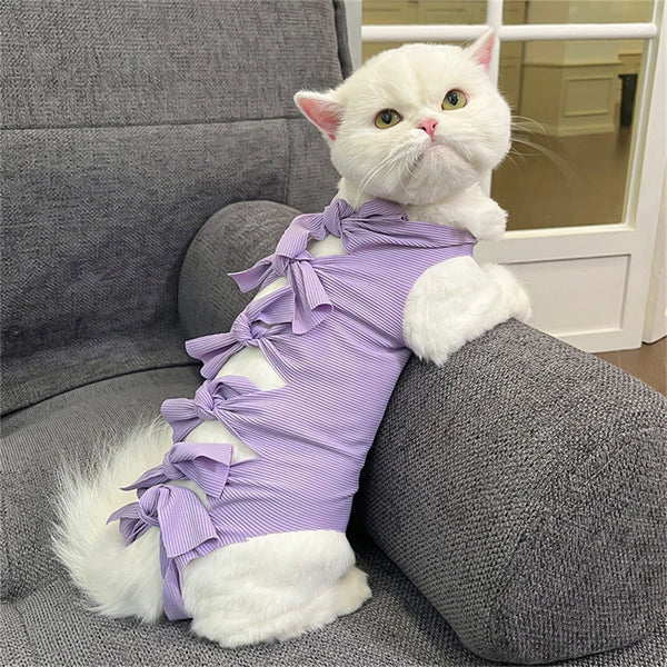 A white cat wearing a purple striped adjustable recovery vest sitting on a gray sofa.