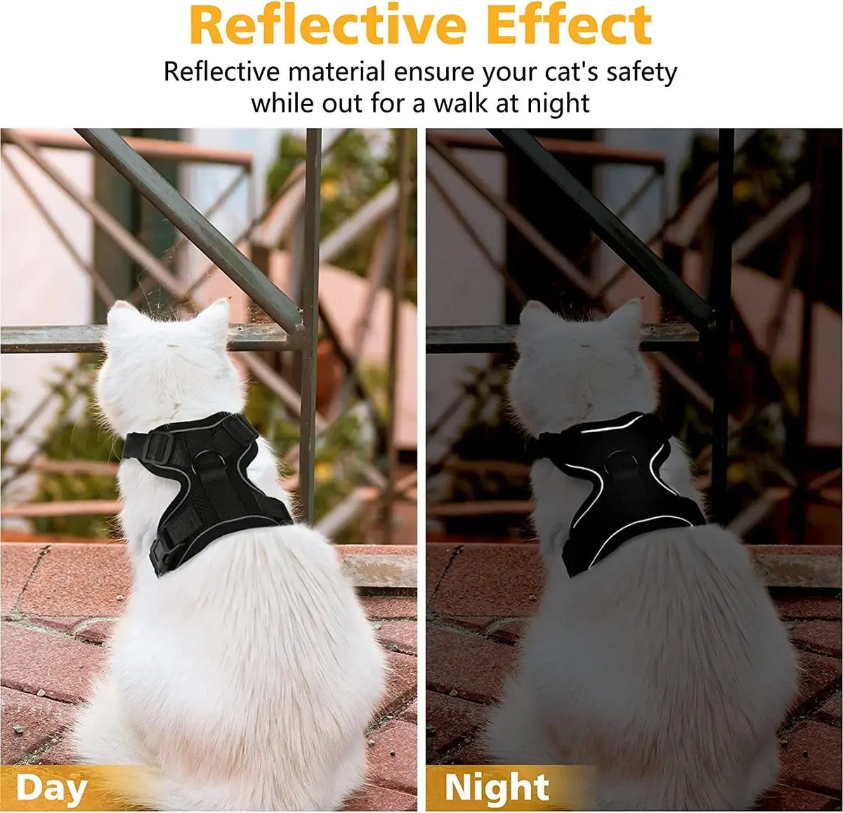 Eine weiße Katze mit schwarzem reflektierendem Geschirr, bei Tag und Nacht.