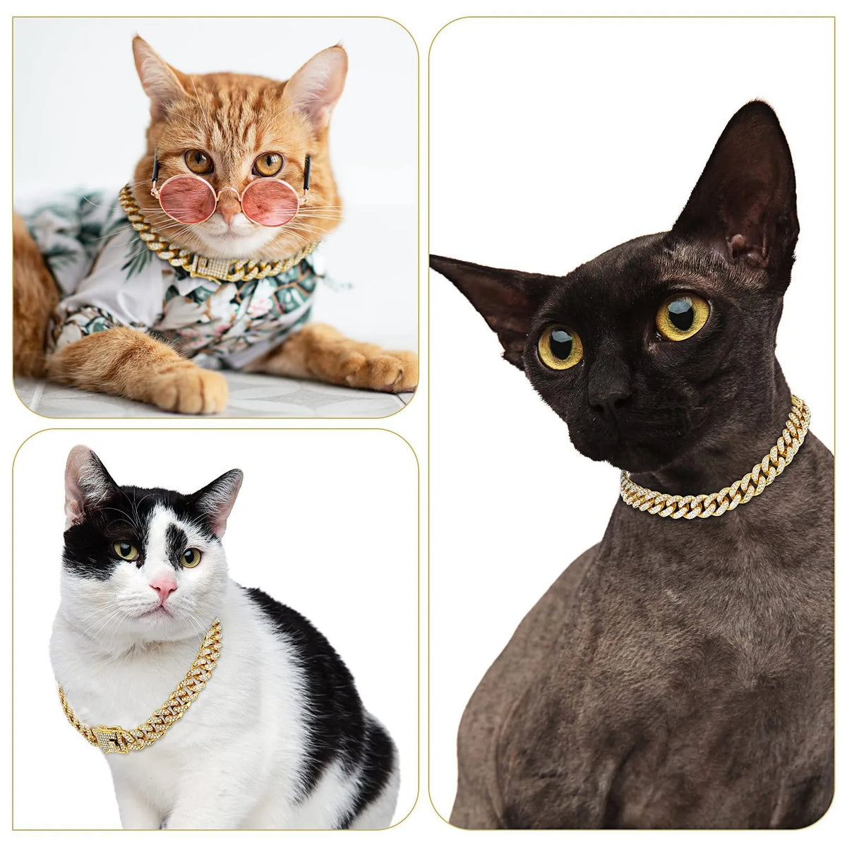 Trois chats portant des colliers de chaînes cubaines en cristal de luxe : un chat orange, un chat noir et un chat blanc et no