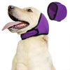 A light-colored dog wearing a purple calming noise reduction earmuff on its neck.