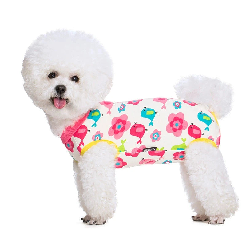 A white poodle wearing a colorful patterned cotton dog recovery suit.