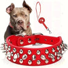 A brown dog wearing a red leather collar and leash set