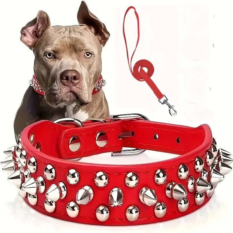 A brown dog wearing a red leather collar and leash set