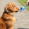 A golden retriever is receiving food from a blue plastic dispenser held by a human hand.
