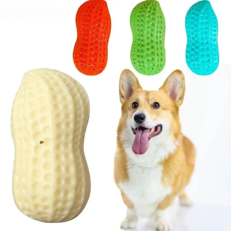 Ein Hund schaut auf verschiedene bunte, strukturierte Spielzeugknabberartikel aus Gummi in Orange, Grün und Blau.