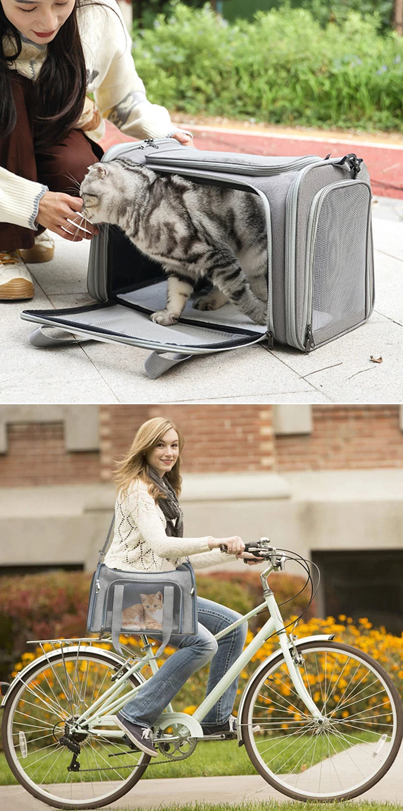 A woman is shown riding a bicycle with a carrier bag for a cat mounted on the front rack.
