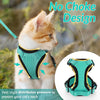 Eine orangefarbene Katze mit einem grünen West-Stil-Harness, der Druck verteilt und den Hals schützt.