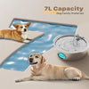 A dog is resting near a 7L capacity stainless steel pet water fountain, which is designed for dog families.