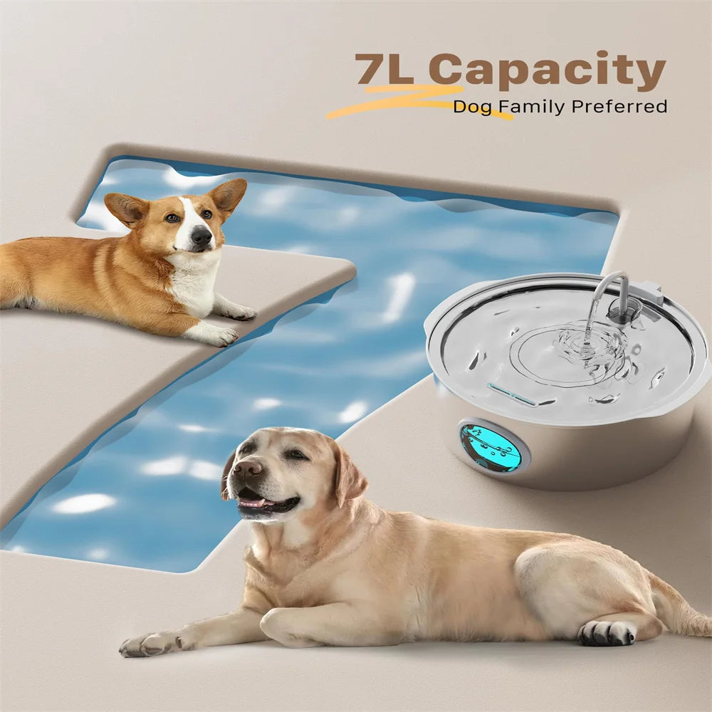 A dog is resting near a 7L capacity stainless steel pet water fountain, which is designed for dog families.