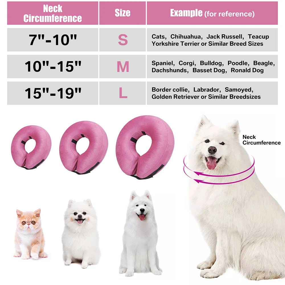 A variety of pink inflatable pet recovery collars are shown alongside several dogs and cats.