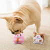 A light brown cat is sniffing a pink, round pet toy with white and orange details on a beige carpet.