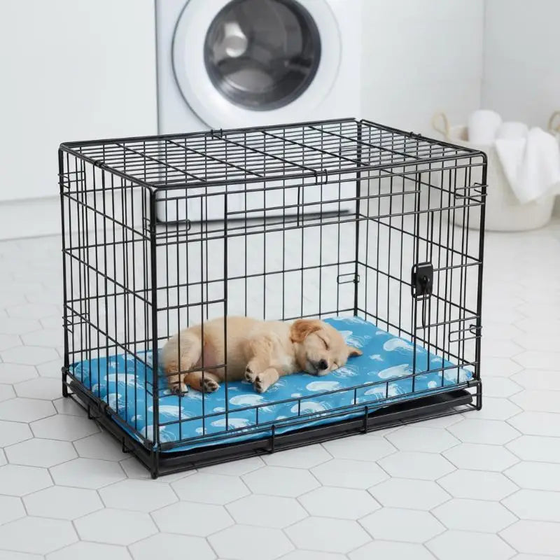 A black wire pet crate with a blue mat inside, suitable for a small dog.