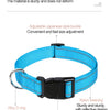 A blue nylon dog collar with an adjustable buckle and alloy D-ring for easy size adjustment