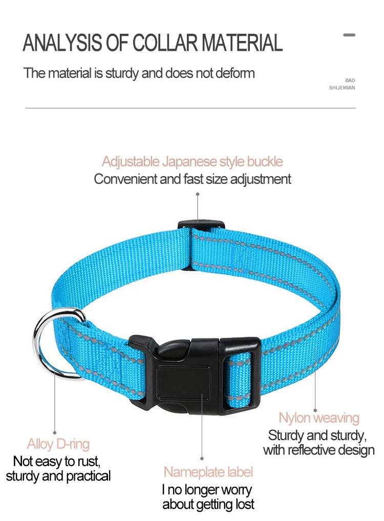 A blue nylon dog collar with an adjustable buckle and alloy D-ring for easy size adjustment