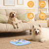 A white dog is shown next to an interactive puzzle toy for dogs on a rug.