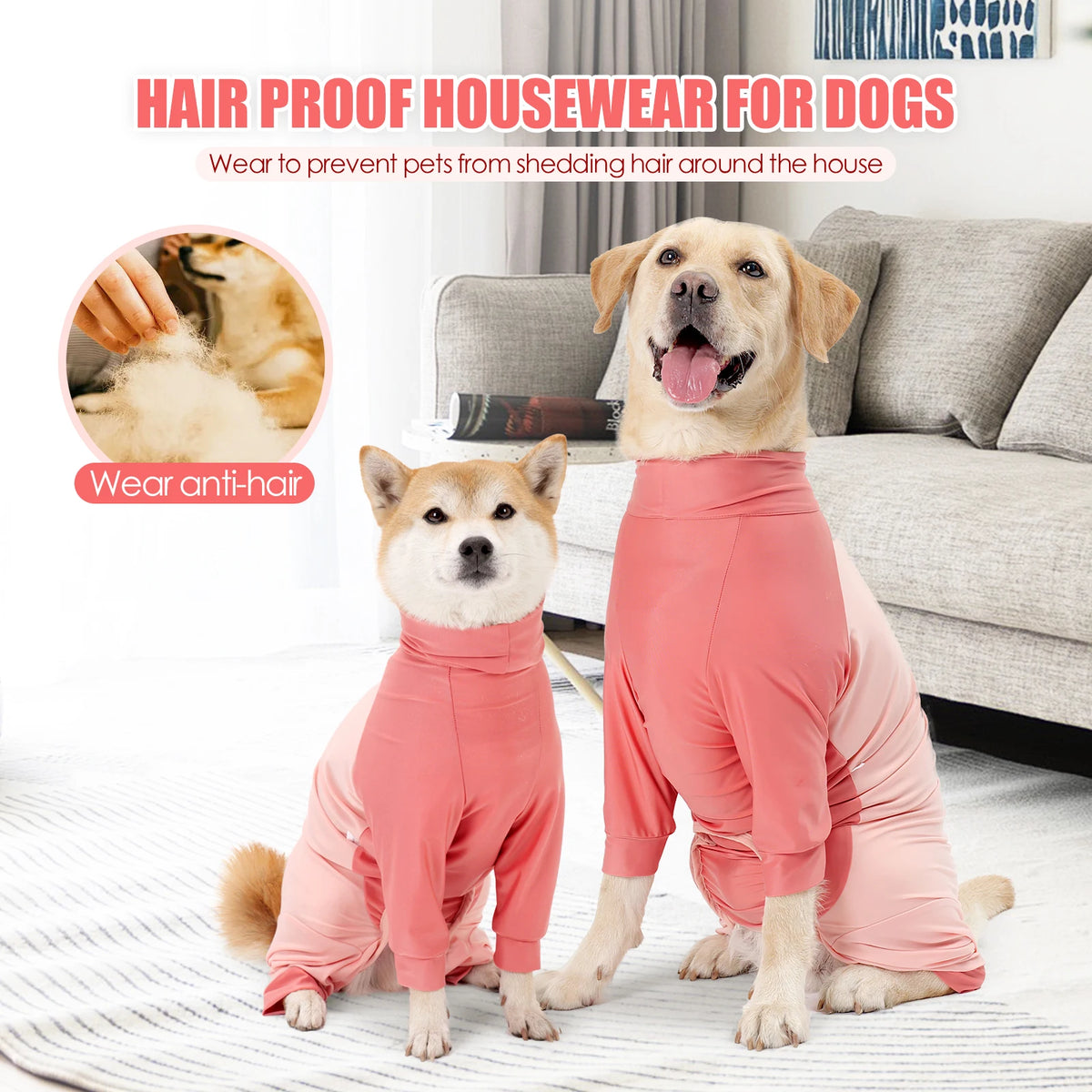 A golden retriever wearing a pink hair proof dog jumpsuit sitting on a rug.