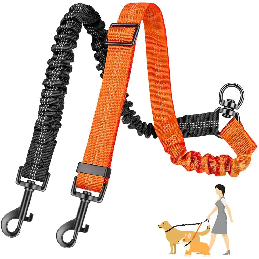 Orange and black dual dog leash attachment with shock-absorbing bungee and a dog on a leash.