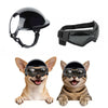 A black pet safety helmet and goggles set shown next to a dog and a cat.