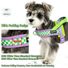 Un petit chien portant un harnais rembourré violet et vert lime conçu pour la course, avec des schémas montrant le rembourrag