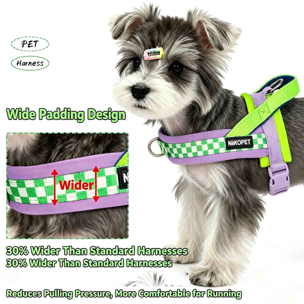 Un petit chien portant un harnais rembourré violet et vert lime conçu pour la course, avec des schémas montrant le rembourrag