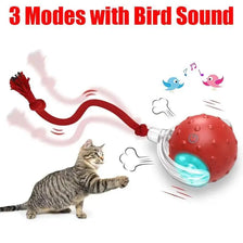 A red motion-activated cat toy ball with a blue light is shown next to a tabby cat.