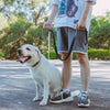 A person holds a heavy-duty tactical dog leash with dual handles and bungee attached to a white dog outdoors.