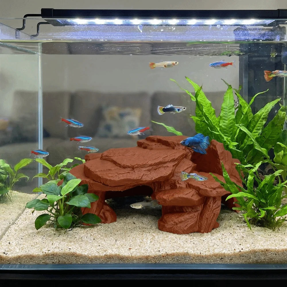 A clear aquarium features a rockery landscape with green plants and several small, colorful fish swimming above.