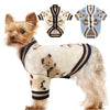 A small, light-colored dog wearing a knitted sweater with a bear pattern.