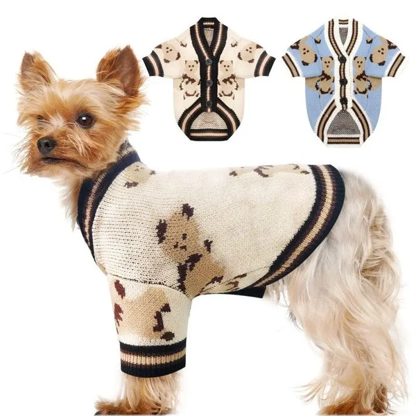 A small, light-colored dog wearing a knitted sweater with a bear pattern.