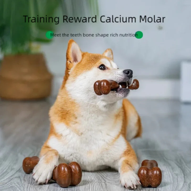 A fluffy Shiba Inu dog is shown chewing on a natural wood chew toy for dogs.