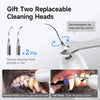 Two replaceable cleaning heads for a pet ultrasonic dental cleaner, showing pointed and flat heads used to clean teeth.