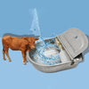 A brown cow is dipping its head into a stainless steel automatic water dispenser bowl, causing water to splash.