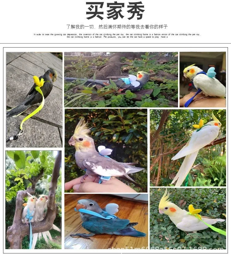 A set of adjustable bird training harness and leash for parrots, showing various colored harnesses and a parrot.