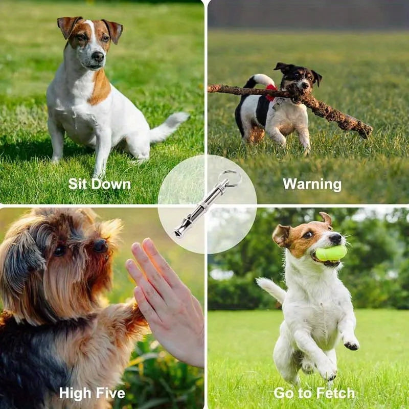 Collage montrant des commandes d'entraînement de chien : Assis, Avertissement, High Five et Va chercher.