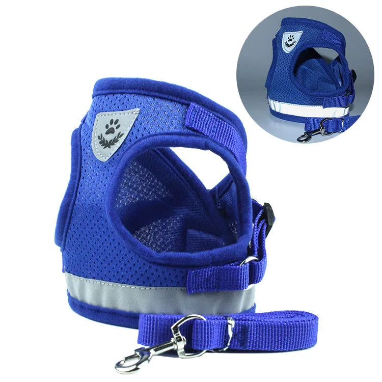 A royal blue mesh dog vest harness and leash set with a silver buckle.