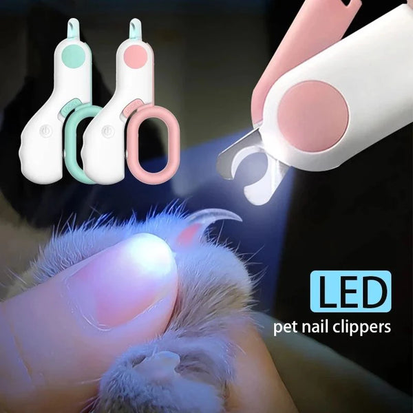 Una mano está usando unas tijeras profesionales para uñas de mascotas en la pata de un gato.