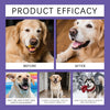 Before and after images showing the efficacy of pet dental care wipes for dogs and cats.