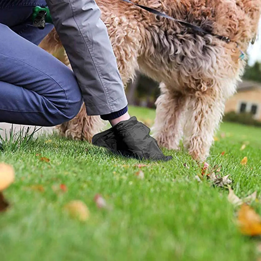 A person wearing dark pants is kneeling on grass next to a large, fluffy dog with a leash clip.