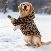 A golden retriever wearing a leopard print fleece hoodie is sitting in the snow.