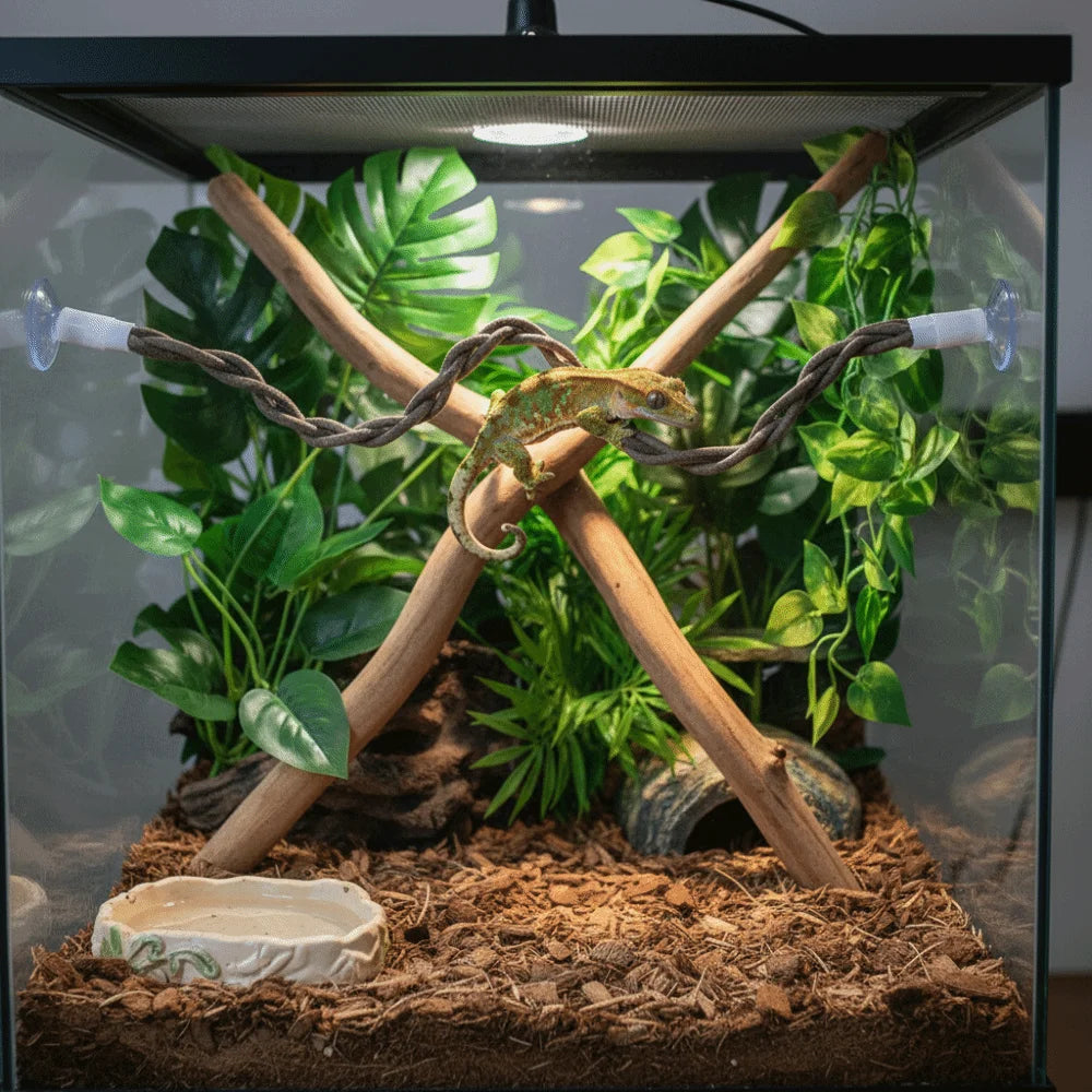 A suction cup lizard hammock made of natural wood branches is set up in a glass terrarium with green plants.