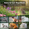 A collection of cats of various breeds and hair lengths shown in a garden setting with natural cat repellent plants.