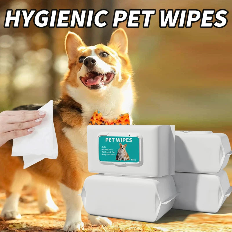 A dog stands next to a box of hygienic pet wipes with a hand holding a wipe.