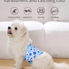 A white poodle wearing blue dog pants is shown next to text describing the benefits of male dog pants.