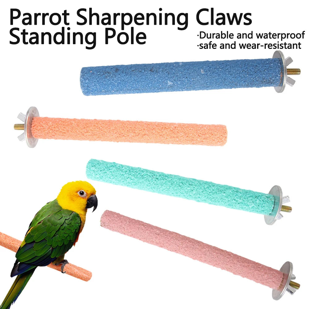 Colorful Parrot Perch Toy