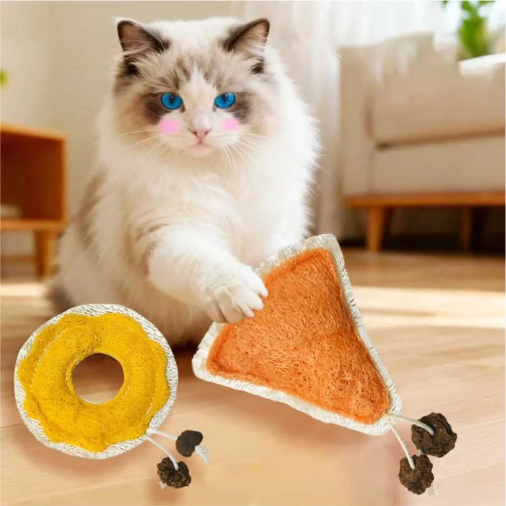 A fluffy white cat is looking at a natural loofah cat chew toy with catnip