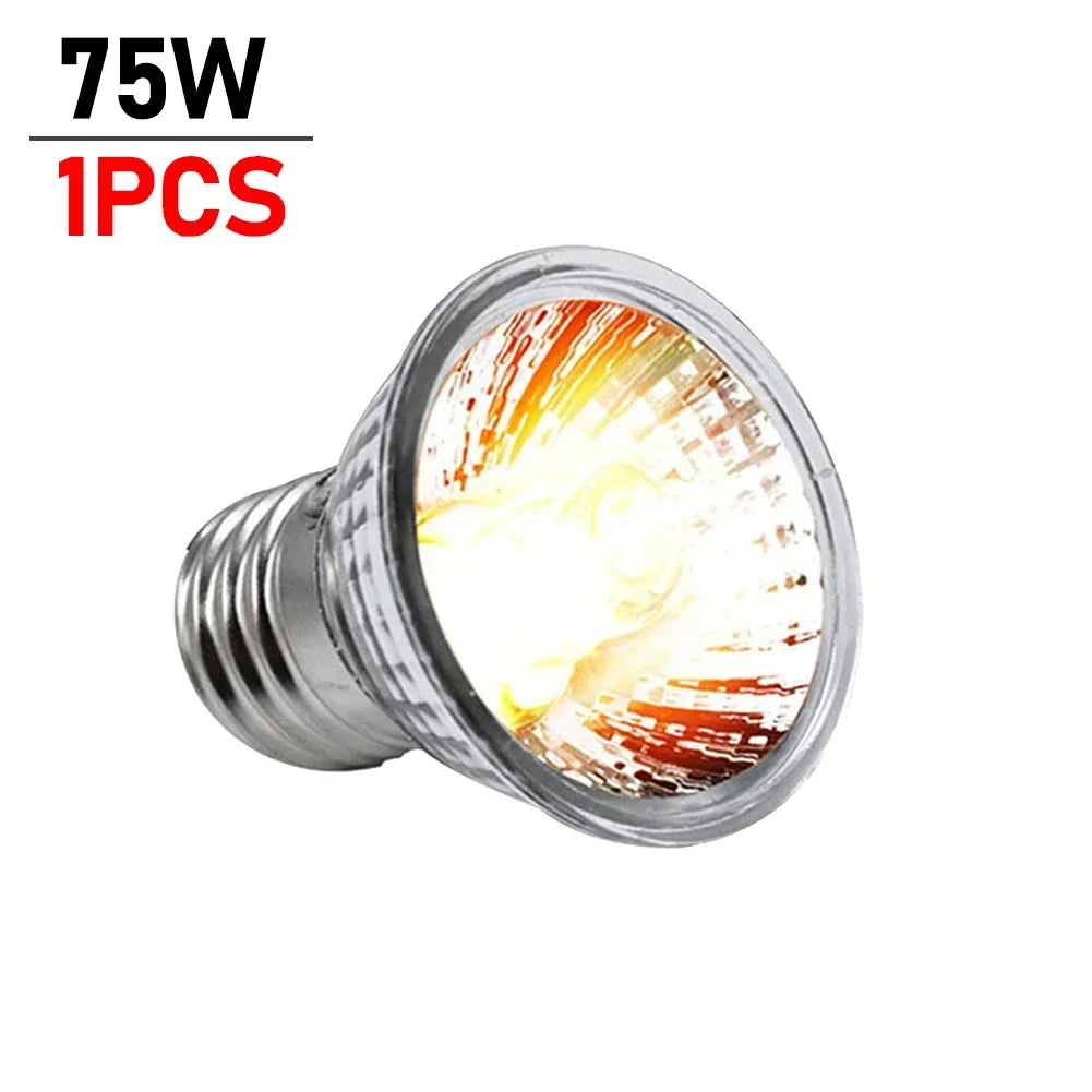Eine einzelne 75W UVB-Reptilhitzlampe mit silberner Basis und gelbem Leuchtgเปลb