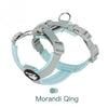 A light blue breathable no-pull dog harness with gray straps and a silver clip.