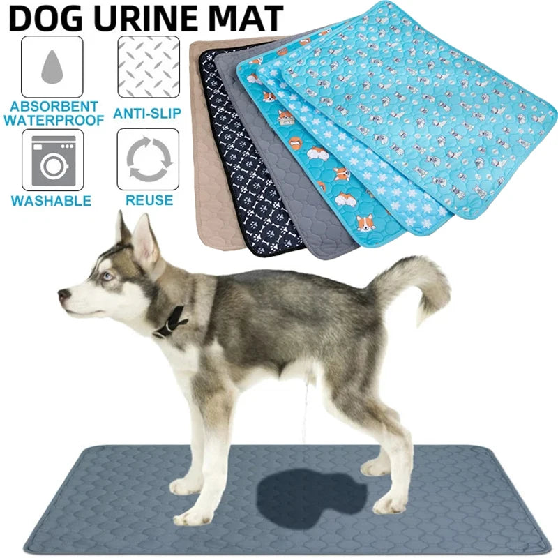 A dog is standing on a blue pet training mat with absorbent and anti-slip features.